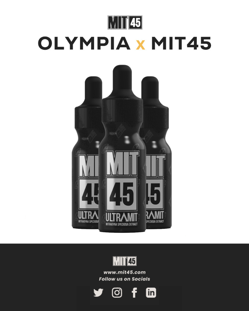 MIT45